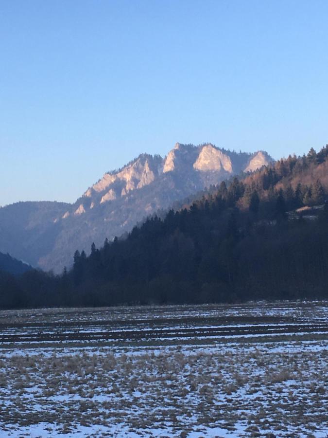 Penzion Roal Pieniny 호텔 스피슈스카 스타라 베스 외부 사진